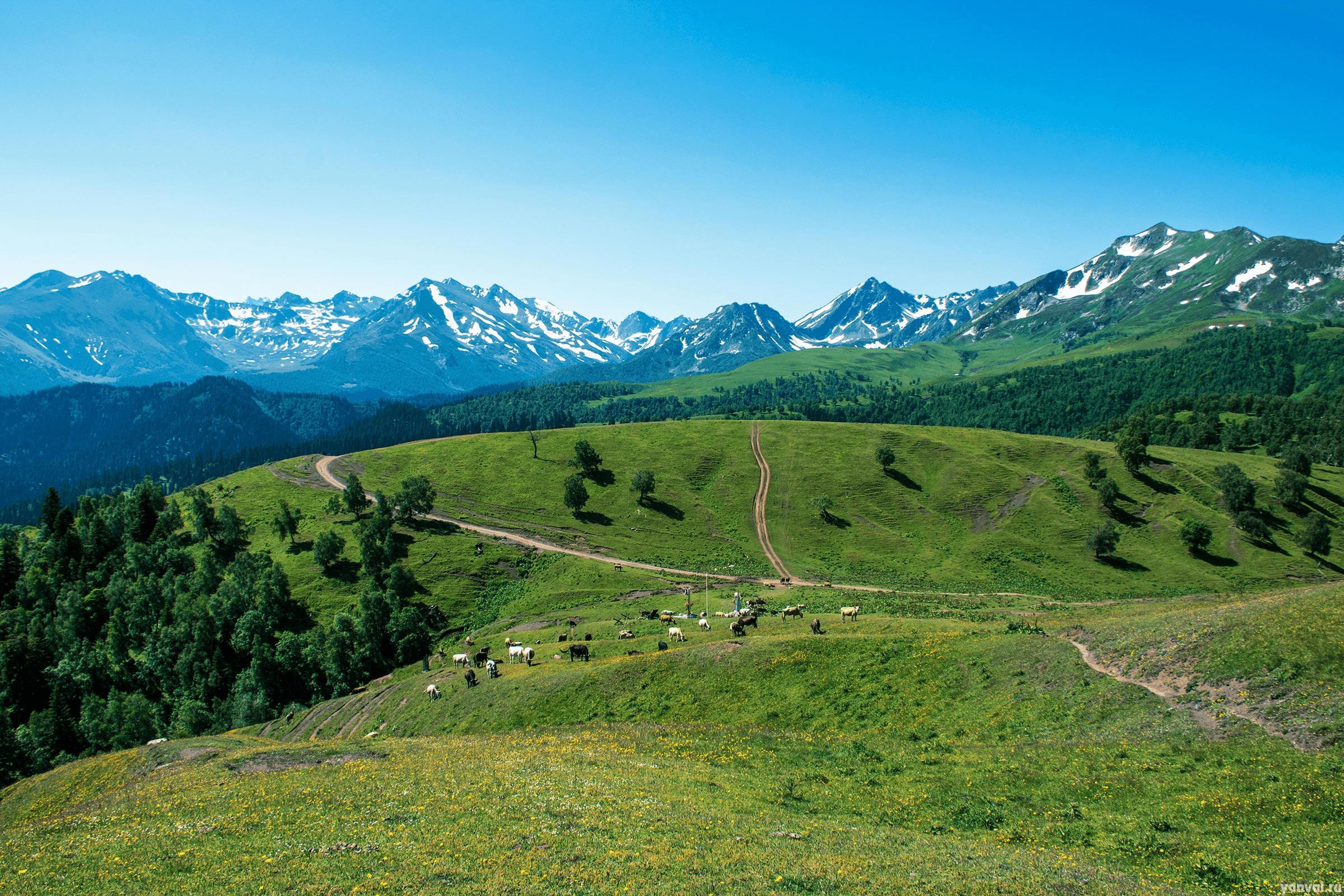 Бездонное озеро summer 1