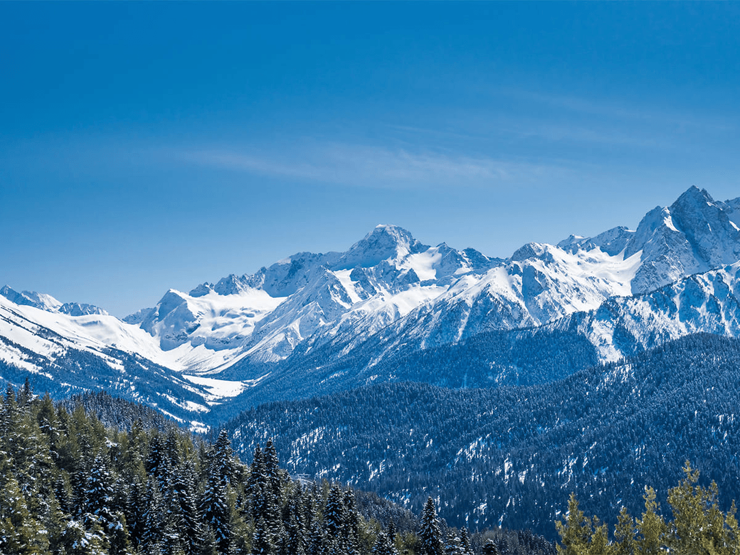 Фото услуги 3