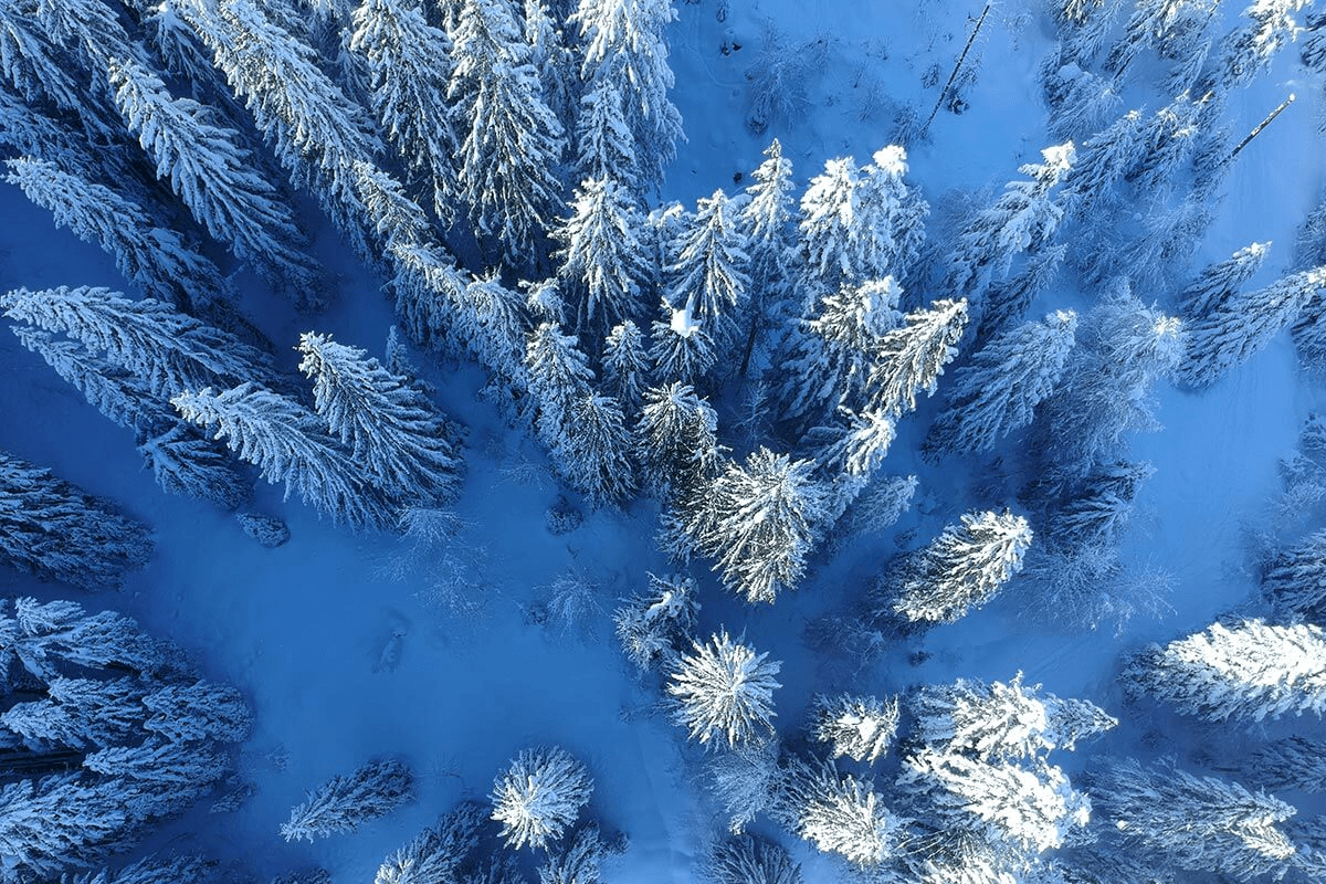 Фото услуги 4