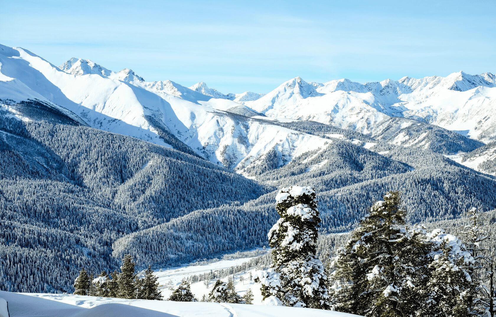 Зимний лес отзывы 1