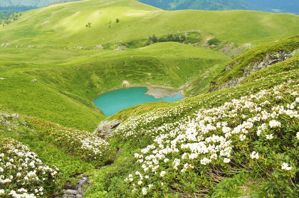 Фото услуги 1