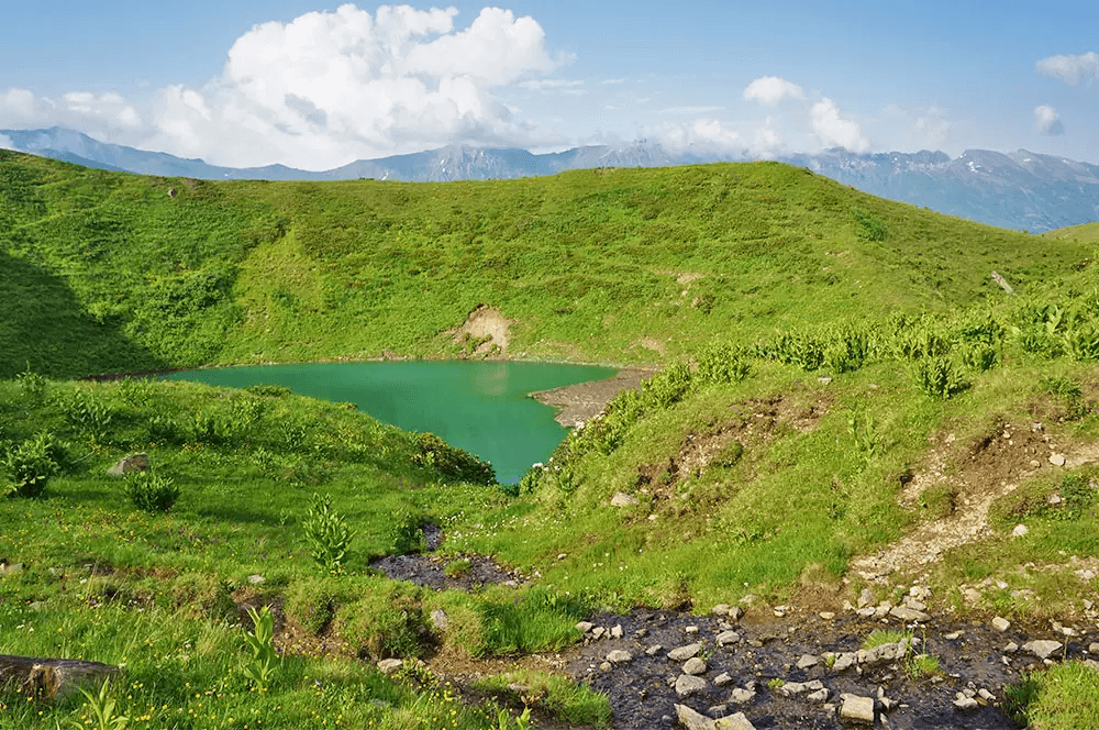 Фото услуги 4