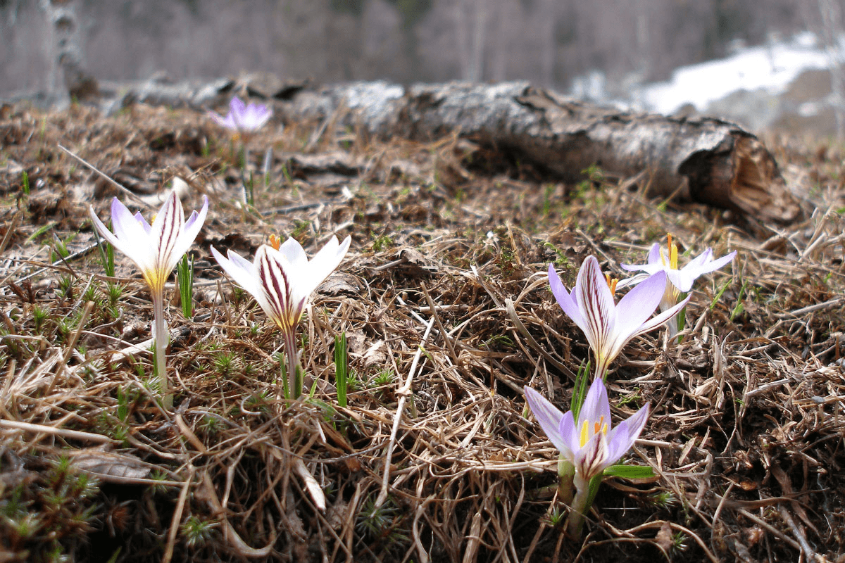 Фото услуги 8