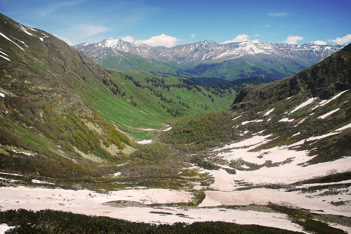 Фото услуги 7