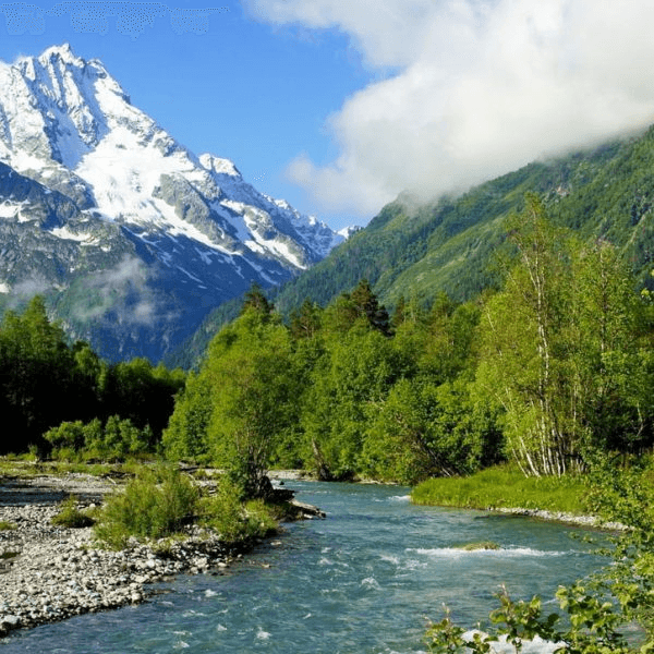 Фото услуги 2