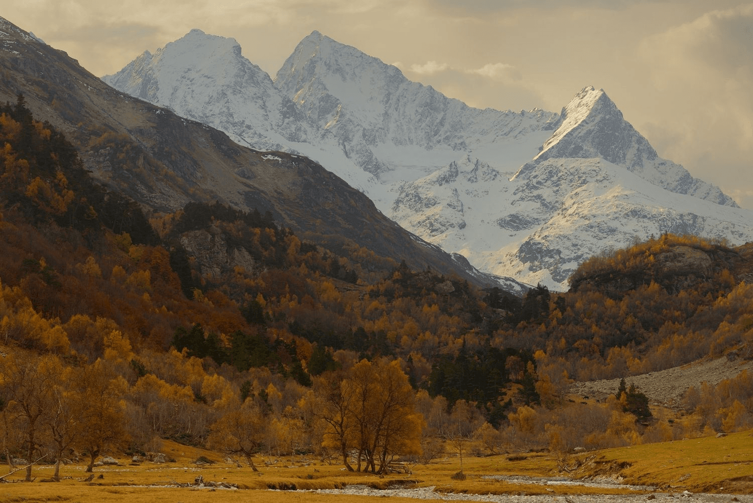 Настоящие поездки в Архызе