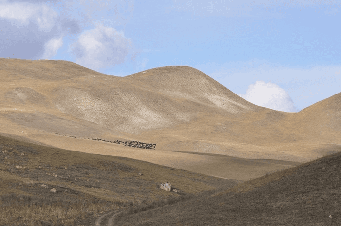 Гора Джиса summer 1