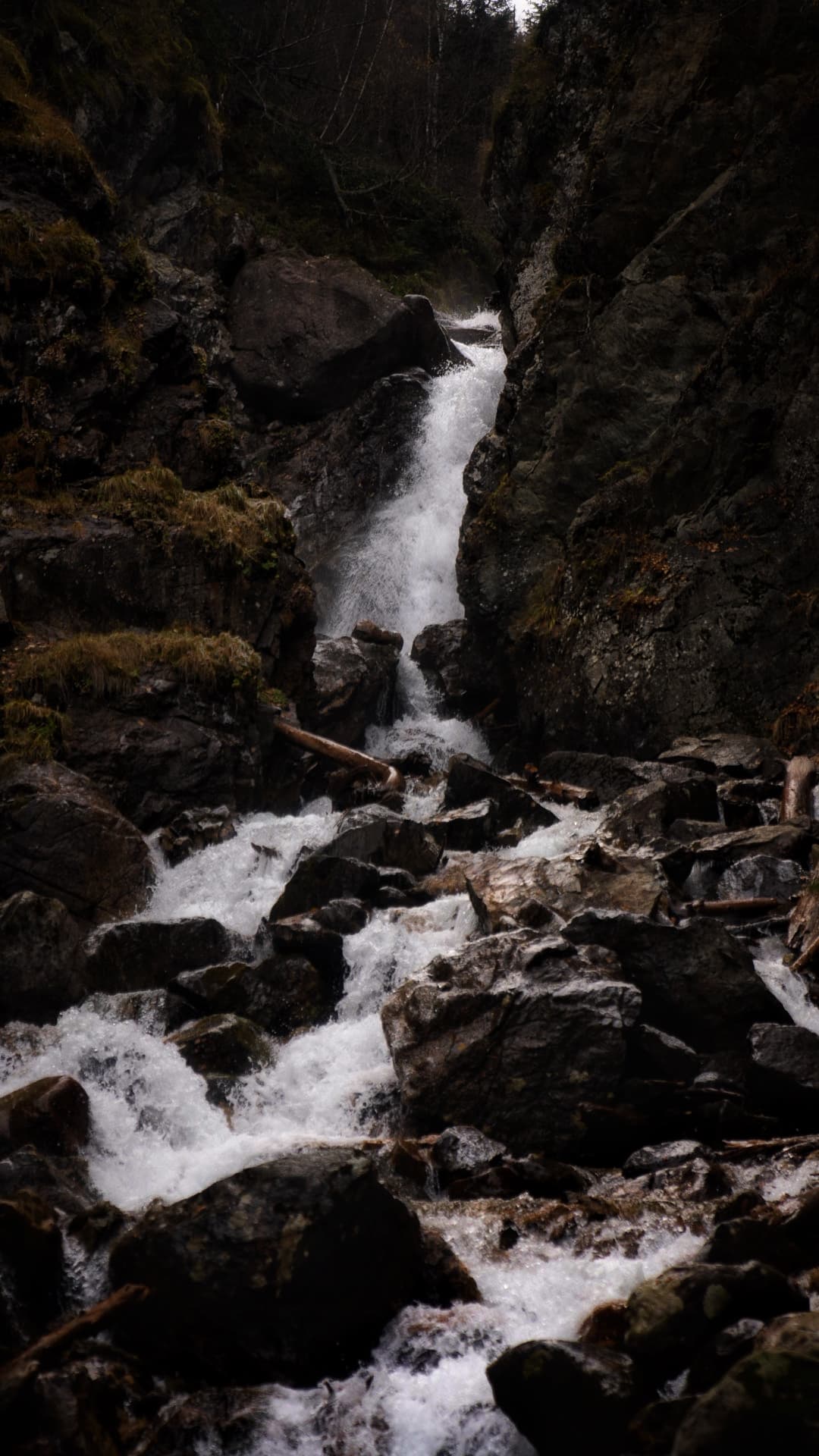 5 видов отдыха в одном туре