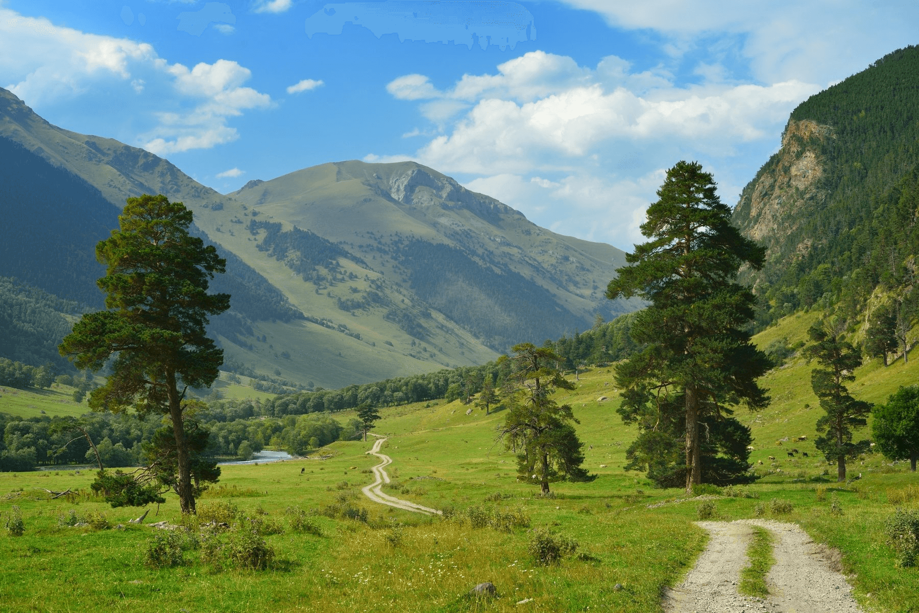 Марухское ущелье summer 5