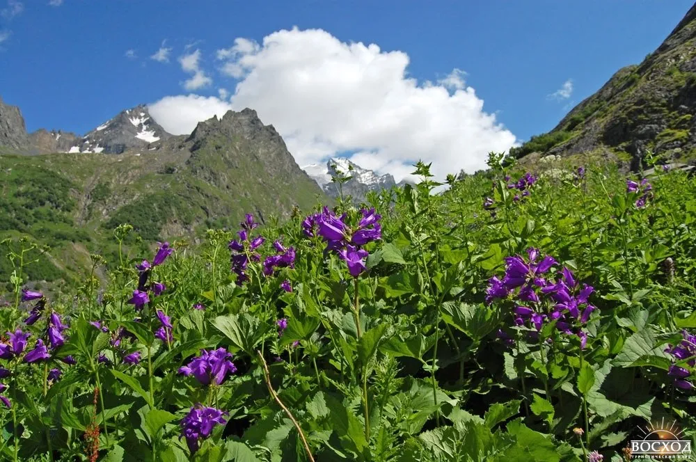 Аман Ауз — смотровая с границей Абхазии — фото маршрута на Аман-Ауз, Архыз, фото 9