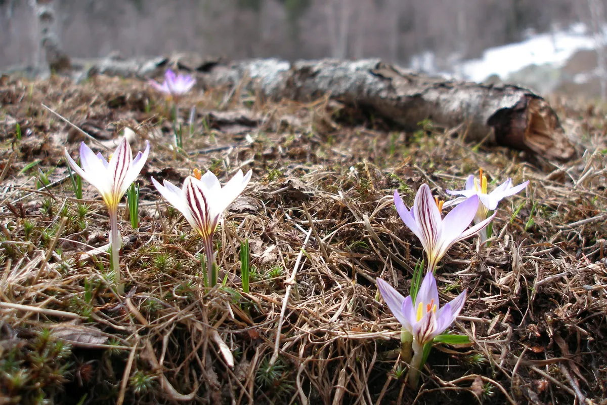 Софийские Озера — фото маршрута на маршруте, Архыз, фото 1