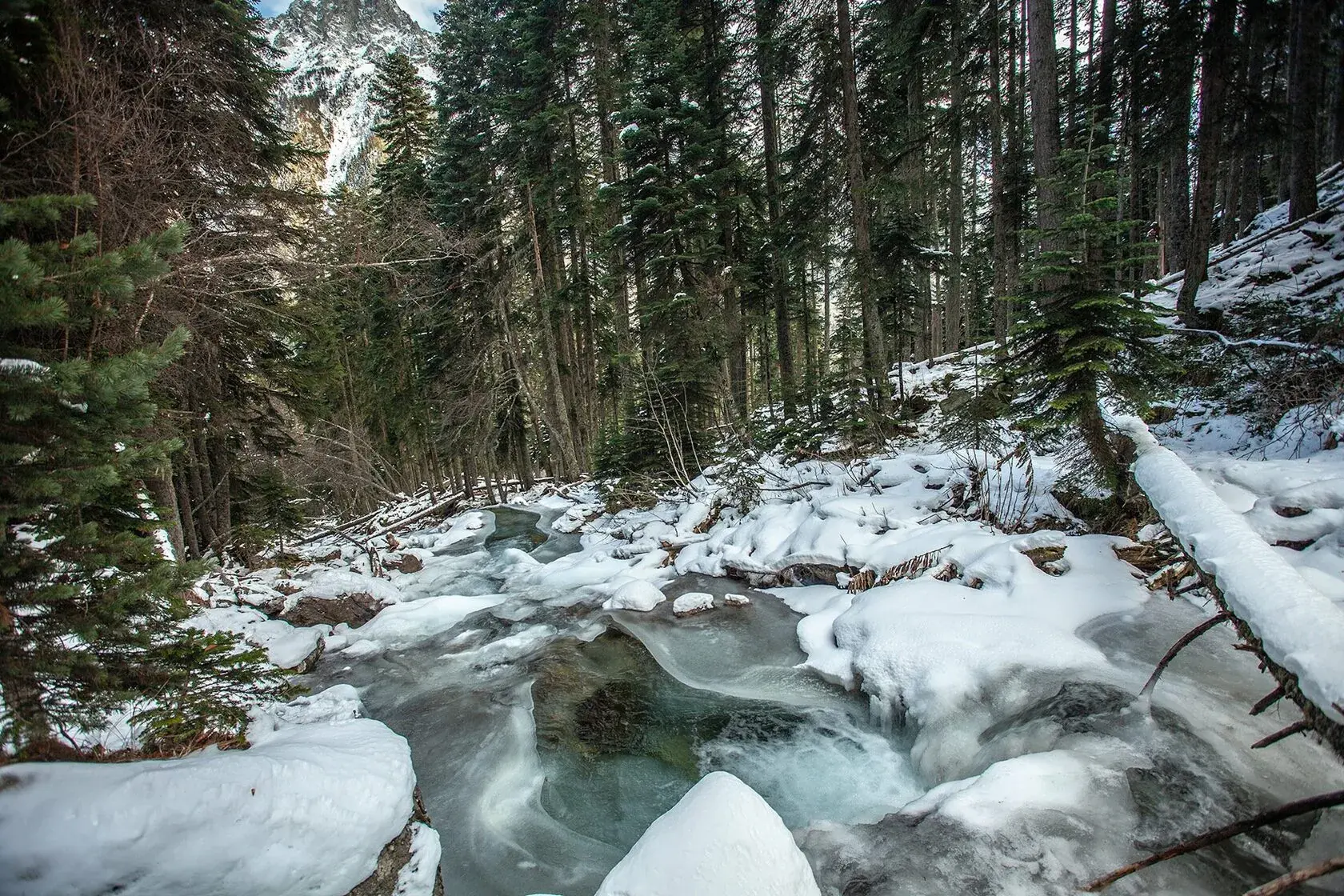 Sofia glaciers preview 3