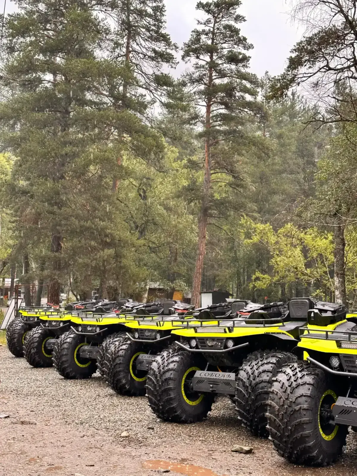 Большой квадроцикл (квадротитан, болотоход) + Снегоход — фото квадроцикла на маршруте, Архыз, фото 1