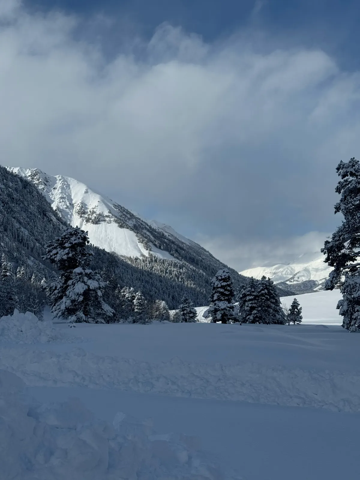 Март в Архызе: почему это лучшее время для снегоходов