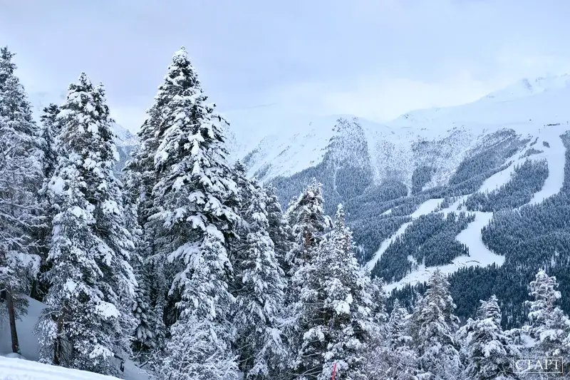 Winter forest — snowmobile route thumbnail 5