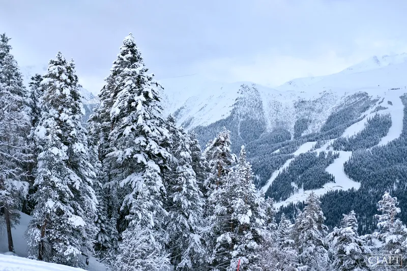 Зимний лес — фото маршрута в Зимнем лесу, Архыз, фото 1